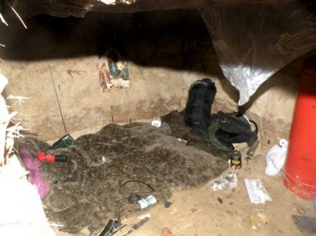 Подросток из Пинска 40 дней прожил в землянке, питаясь тем, что наворовал у дачников