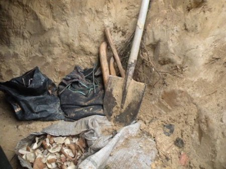 Подросток из Пинска 40 дней прожил в землянке, питаясь тем, что наворовал у дачников