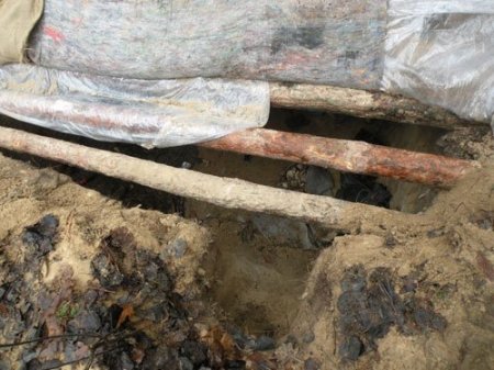 Подросток из Пинска 40 дней прожил в землянке, питаясь тем, что наворовал у дачников