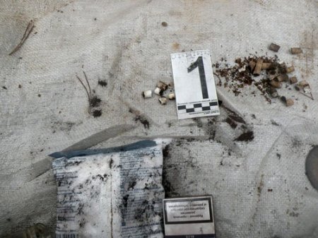 Подросток из Пинска 40 дней прожил в землянке, питаясь тем, что наворовал у дачников