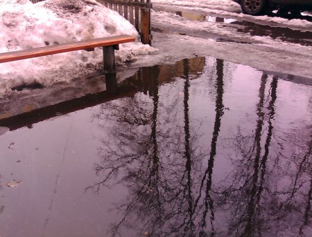В Бобруйске с талой водой во дворах коммунальщики будут разбираться летом