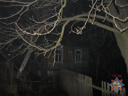 В Гудах хозяйка выжигала траву и подожгла дом (фото)