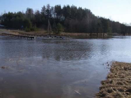 Чаусы и Славгород уходят под воду