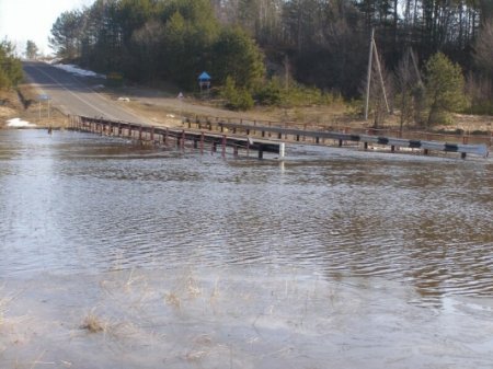 Чаусы и Славгород уходят под воду