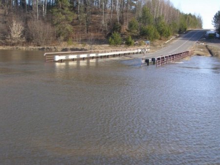 Чаусы и Славгород уходят под воду