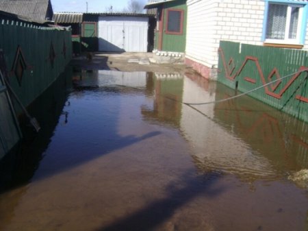 Чаусы и Славгород уходят под воду
