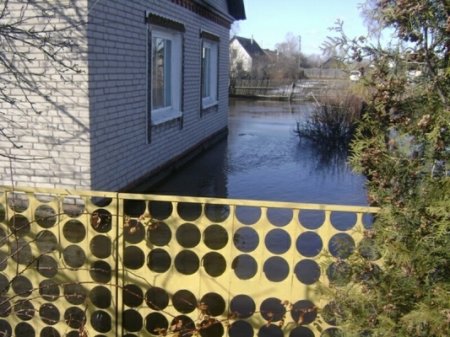 Чаусы и Славгород уходят под воду