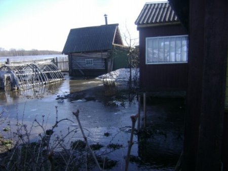 Чаусы и Славгород уходят под воду