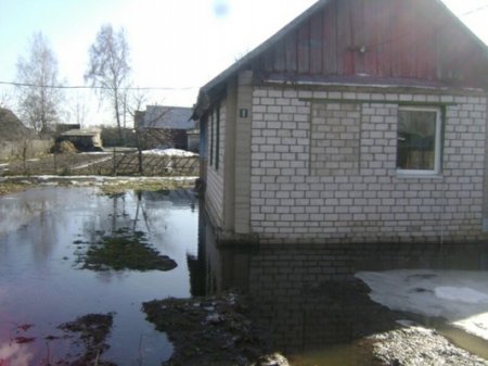 Чаусы и Славгород уходят под воду