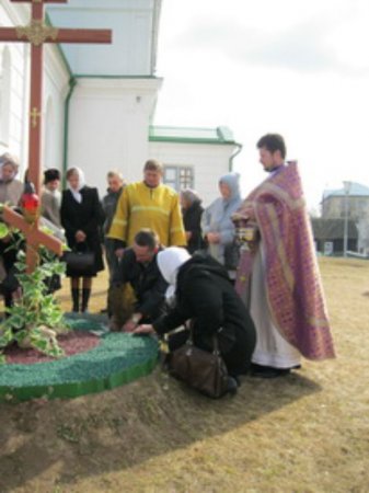 Высаживали туи в память убитых младенцев