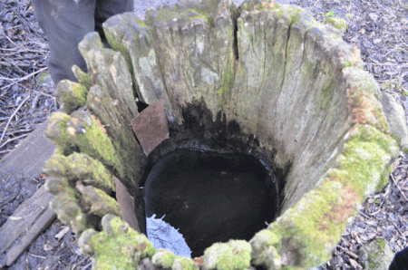 Один колодец на всё деревню