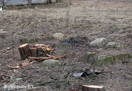 Отголоски Первой мировой