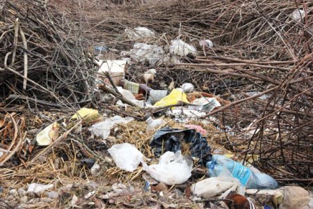 Железо в воде превышает норму в 12,6 раза, или История одного дома