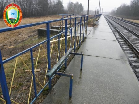 Группа вандалов из Бобруйска крушила все на своем пути