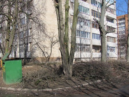 В Могилеве активно приступили к наведению порядка во дворах и на дорогах