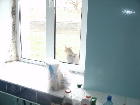 В Волковысской ЦРБ выращивают грибок и плесень