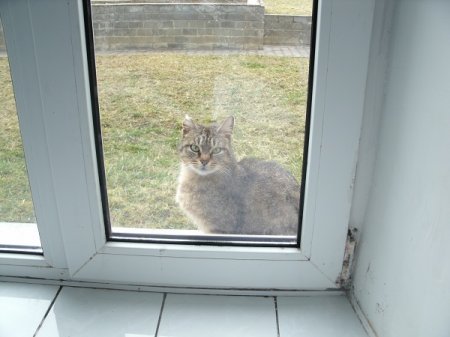 В Волковысской ЦРБ выращивают грибок и плесень