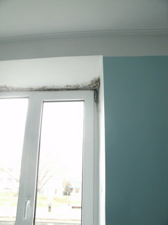 В Волковысской ЦРБ выращивают грибок и плесень