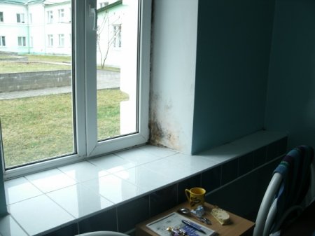 В Волковысской ЦРБ выращивают грибок и плесень