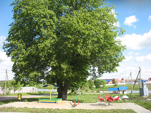 В Лидском районе работники одного из хозяйств живут во дворце