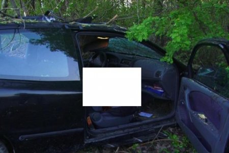 В Лиде "Фиат" врезался в дерево. ...