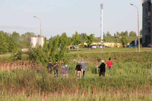 Бойцы МЧС спасли диких утят