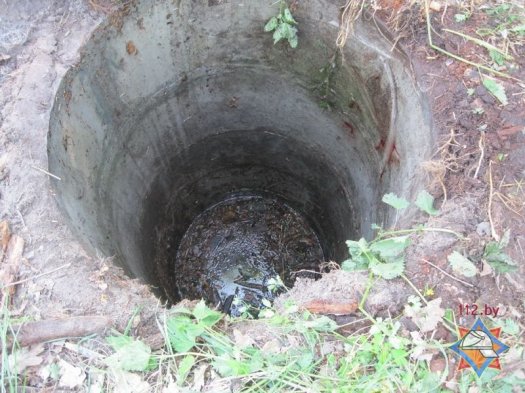 В Пинском районе лошадь упала в колодец с водой