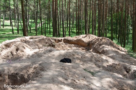 В Волковыске проводятся раскопки захоронений