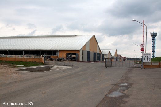 Продолжение истории о «навозных реках»