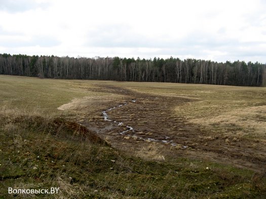 Продолжение истории о «навозных реках»