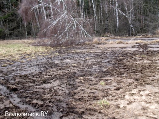 Продолжение истории о «навозных реках»