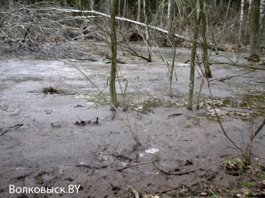 Продолжение истории о «навозных реках»