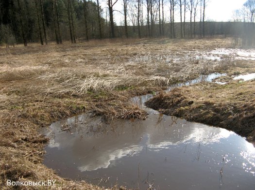 Продолжение истории о «навозных реках»
