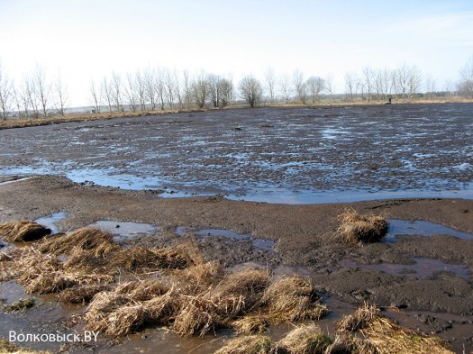 Продолжение истории о «навозных реках»