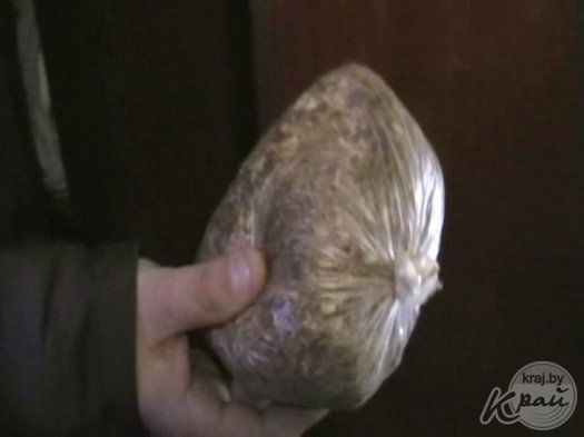 Марихуану и приспособление для курения наркотических средств обнаружили в Молодечненском районе