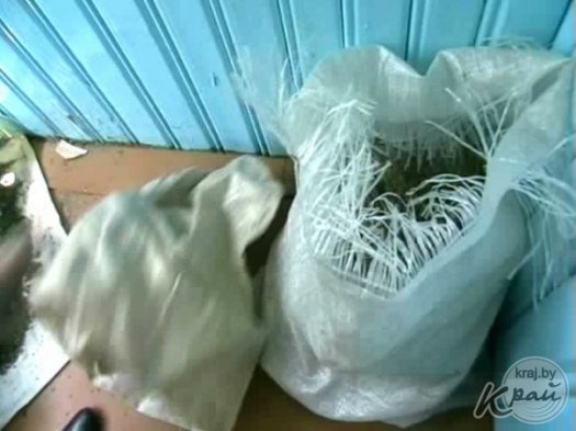 Марихуану и приспособление для курения наркотических средств обнаружили в Молодечненском районе