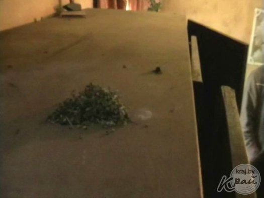 Марихуану и приспособление для курения наркотических средств обнаружили в Молодечненском районе