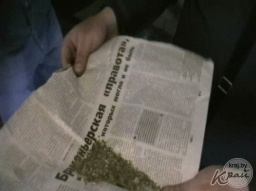 Марихуану и приспособление для курения наркотических средств обнаружили в Молодечненском районе