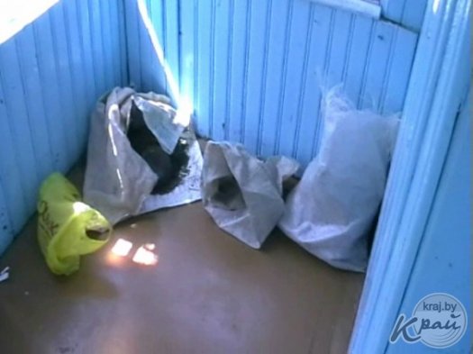 Марихуану и приспособление для курения наркотических средств обнаружили в Молодечненском районе