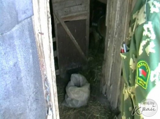 Марихуану и приспособление для курения наркотических средств обнаружили в Молодечненском районе