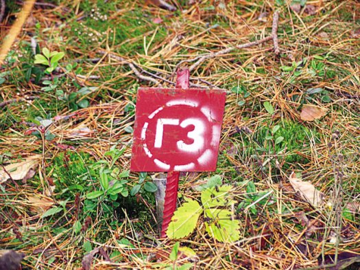 Народ встаёт на защиту Альбертинского леса