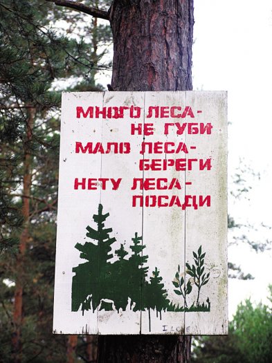 Народ встаёт на защиту Альбертинского леса