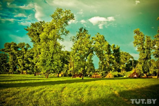 Фоторепортаж с разгула стихии в Речице