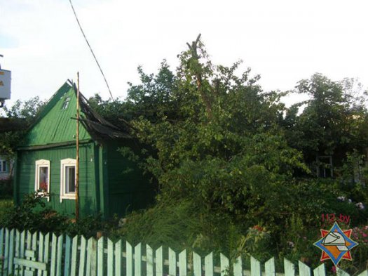 В Лиозно дерево снесло крышу у дома