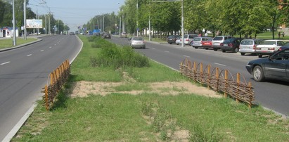 Народные тропы в Гродно начали зарастать после установки декоративных ограждений