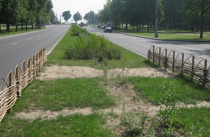 Народные тропы в Гродно начали зарастать после установки декоративных ограждений