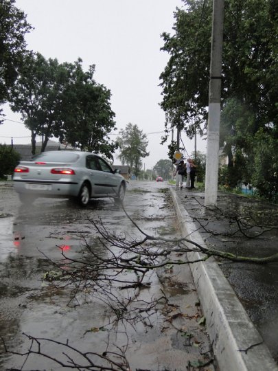 Стихия в Лиозно. Что принес нам долгожданный дождь?