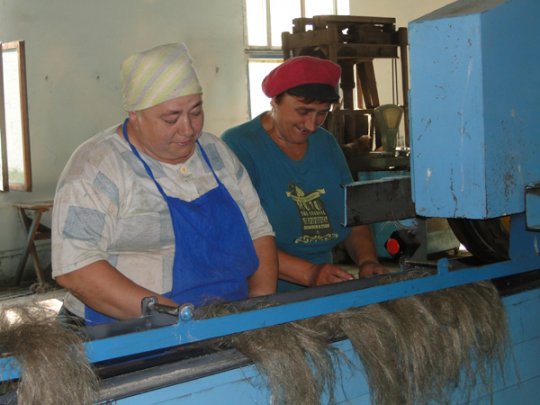 После уранага лиозненский льнозавод подсчитал убытки