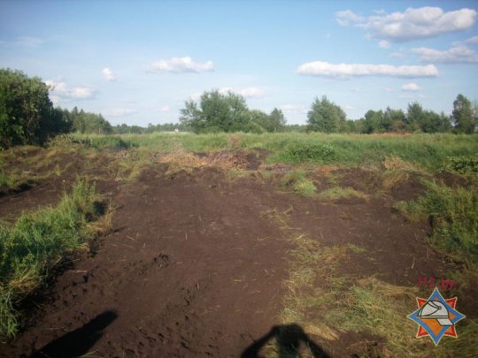 В Лидском районе горело торфяное поле (фото)