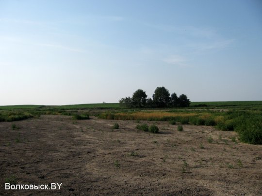 Есть ли хозяева на Шиловичской земле
